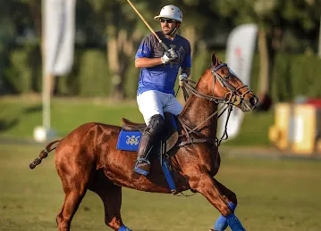 Bin Drai Polo Stables
