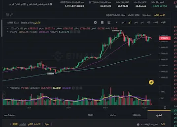 Bitconts