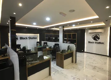 Black Stallion Tr. Co LLC