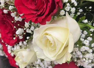 Black Tulip Flowers LLC ( Arabian Center - Al Khawaneej )