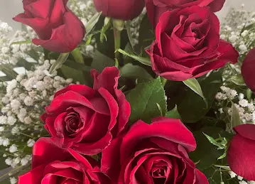Black Tulip Flowers LLC - Online Flower Delivery & Wholesale - Abu Dhabi
