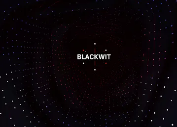 Black Wit Cyber Solutions LLC.