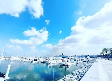 Bliss Yachting