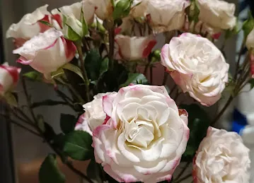 Bloombox Flower Operation Center