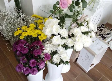 Blossoms Garden Flowers &gift
