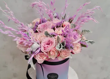 BlossomTree Warehouse