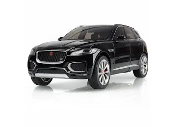 Blue Shark Car Rental
