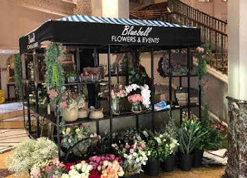 Bluebell Flowers and Events
