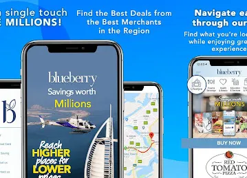 Blueberry Marketing Management
