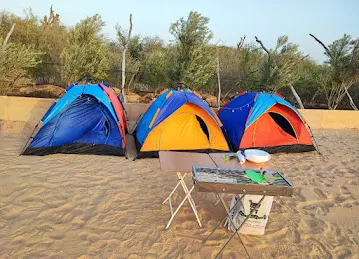 Bluepeak Travel