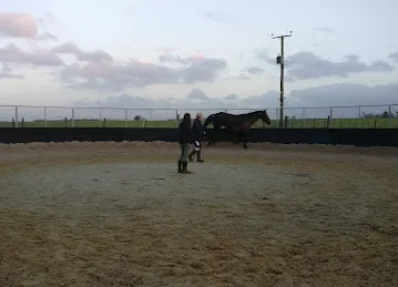 بني ياس
