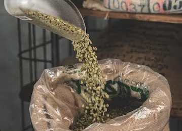 Bold & Black Coffee Roasters