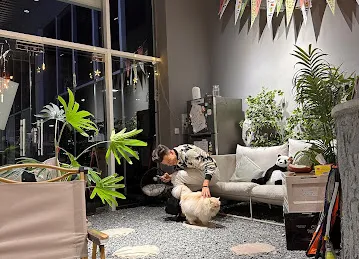 BOMB COFFEE | 啵啵没奶