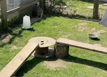 بقالة طريق المدام