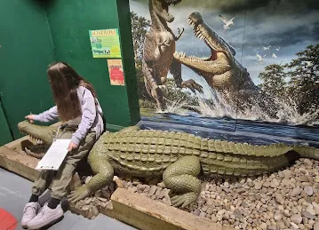 بقاله صباح الخير