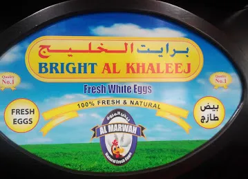 Bright AlKhaleej General Trading LLC