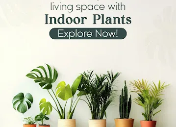 Bring Nature Home Landscaping LLC