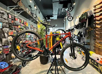 BRODZ Elite Bicycle & Scooter