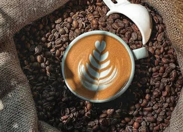 بروجيكت كافيه - PROJECT CAFE
