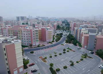 Building 255