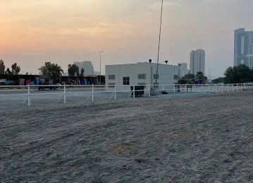 Bullfighting fujairah