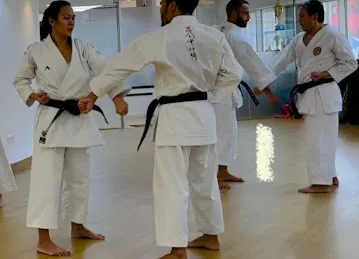 Bushido Martial Arts and Fitness