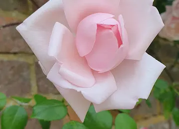 بوتيك نون للازياء