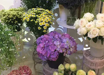 بيرل فلورز