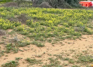 بيت بن دامجة
