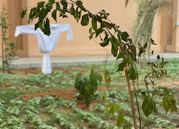 بيت درويش الشامسي