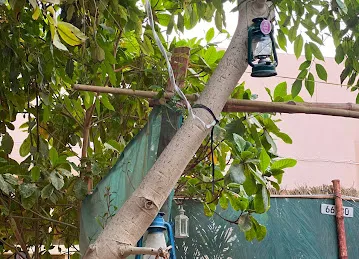 بيت درويش الشامسي