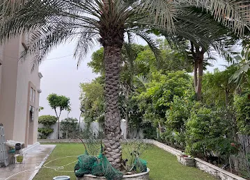 C52 Cedre Villas