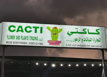 Cacti Warsan Nursery | Buy Outdoor and Indoor Plants Cactus