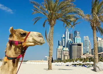 Cambridge Dubai