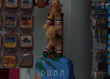 CAMEL COMPANY