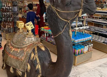 CAMEL COMPANY