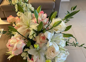 Camelia Flowers \u200e زهور كاميليا