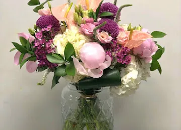 Camelia Flowers \u200e زهور كاميليا