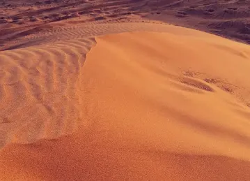 Campsite 1 Al Ain