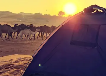 Campsite 1 Al Ain