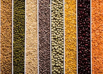 CANADIAN FOODSTUFF COMPANY