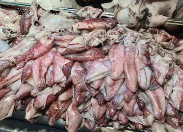Capital Fish LLC سمك العاصمة ذ م م