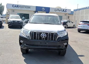 CARNATION FZCO