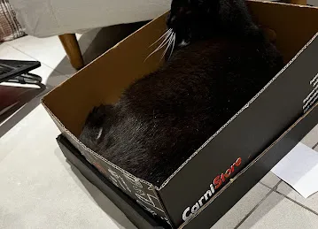 CarniStore