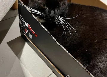 CarniStore