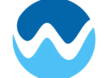 Carpet Wash Cleaners
