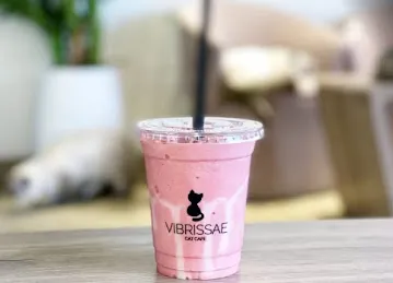 Cat Cafe Vibrissae - Al Safa Park Complex