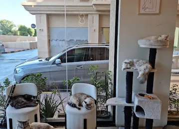 Cat Cafe Vibrissae - Al Safa Park Complex