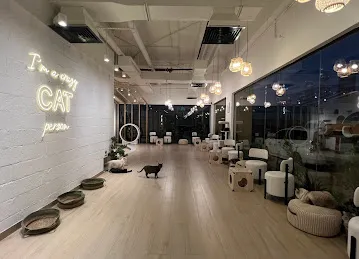 Cat Cafe Vibrissae - Al Safa Park Complex