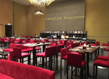 Catolid Furniture Ind LLC